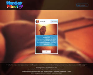 Grindr vs Plan Gay Minet — lequel choisir pour un plan cul gay en France ?